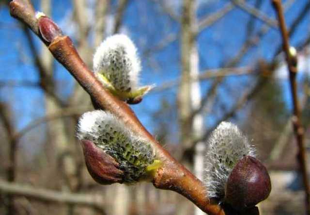 В Украине сегодня потеплеет до +20