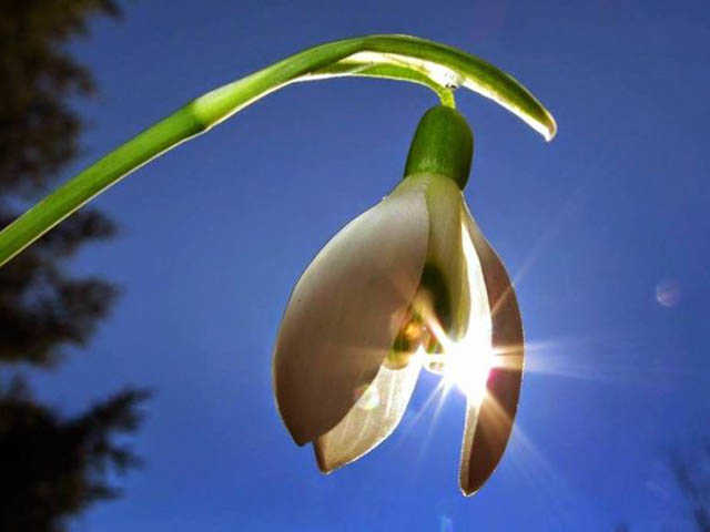 Прогноз погоды на пасхальные выходные в Киеве и Украине