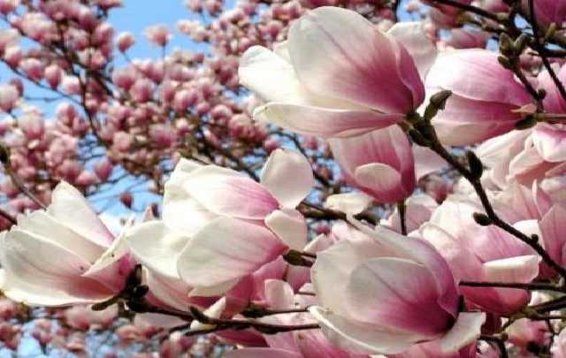 Стало известно, какая погода будет на Пасху в Украине