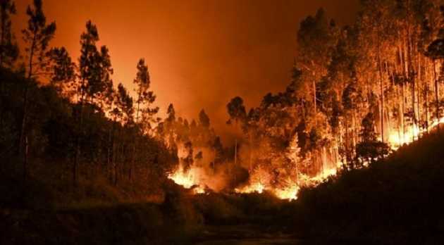 В Киеве объявили высокий уровень пожароопасности