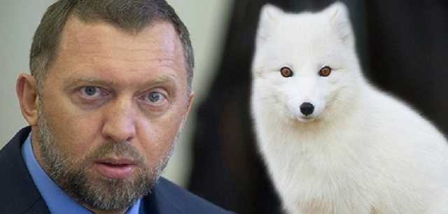 Александр Коваленко: Спасти рядового Дерипаску