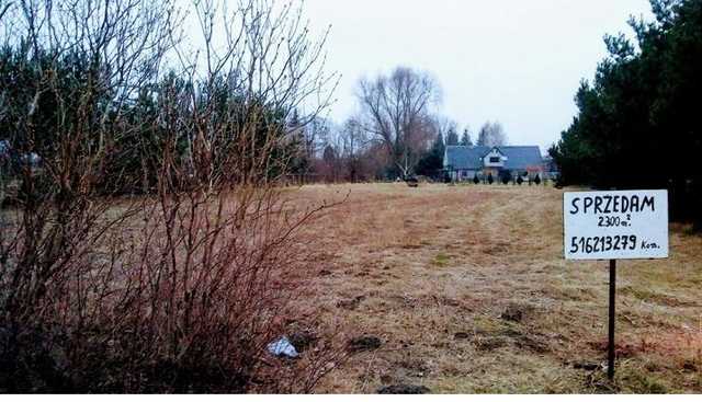 Цены как на Троещине. Зачем украинцы массово скупают землю в Польше