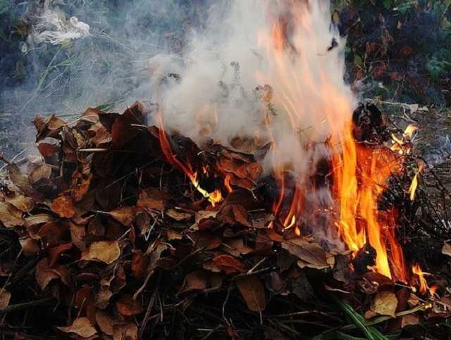 На Вінничині живцем згоріла однорічна дитина