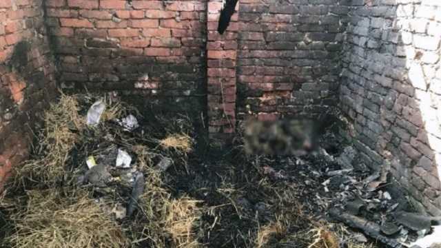 В Донецкой области в адской ловушке погибла 6-летняя девочка