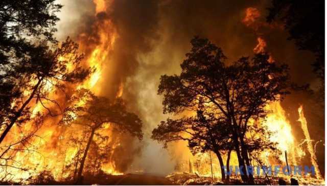 Спасатели предупреждают о пожарной опасности в Украине