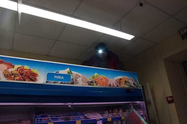 Ловили пятеро: в Киеве кот "захватил" колбасный отдел в супермаркете