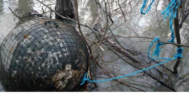 В Дунае выловили пять мин