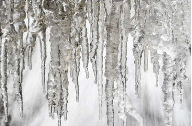 23 апреля в Украине ожидаются заморозки – Укргидрометцентр