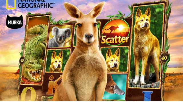 National Geographic    Murka a oo