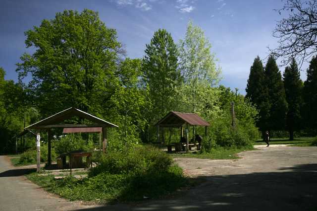 Где в Киеве можно жарить шашлык: названы места