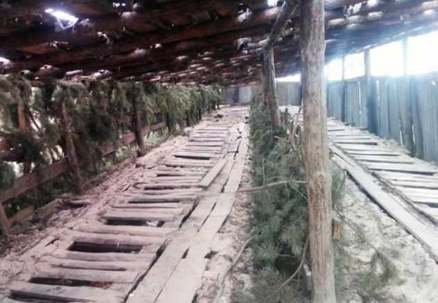 Стандарты НАТО. Волонтер показала "туалет-пианино" на военном полигоне