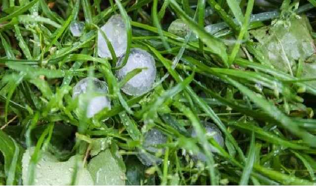 На Черкаси налетів шквальний вітер з градом