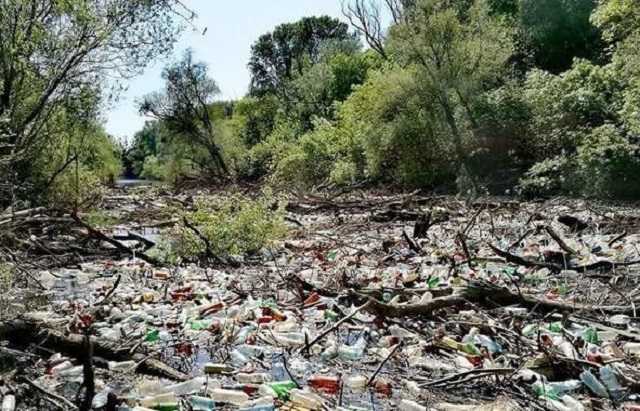 Мусор из Закарпатской области перекрыл 200 метров реки в Словакии