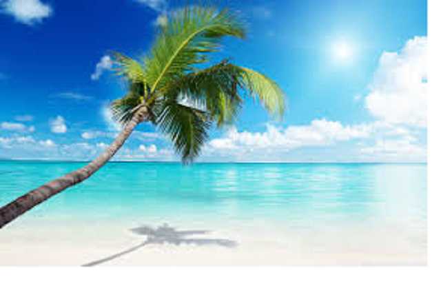 Отдых украинских миллионеров: развеян главный миф