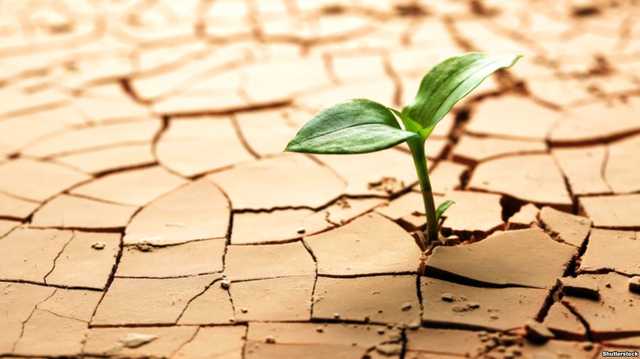 В Украину идет засуха: климатологи предупредили об опасности