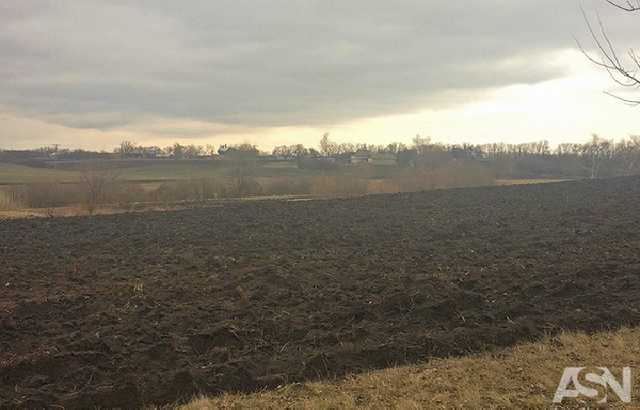 Отмену НДС при экспорте сои и рапса обжалуют в Конституционном суде