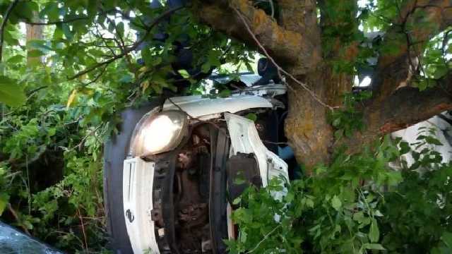 Жуткое ДТП на Николаевщине: разбился микроавтобус, пять человек погибли