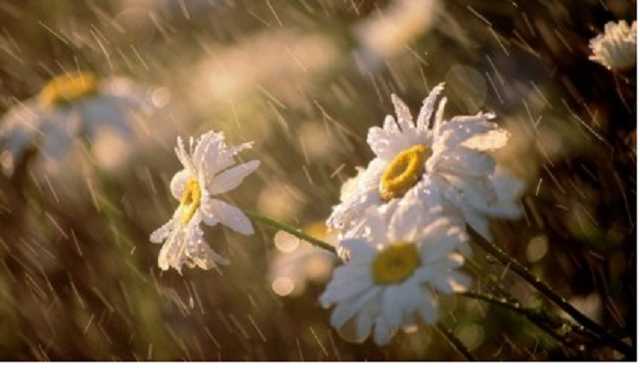 Погода на 20 мая: Украину накроют сильные ливни