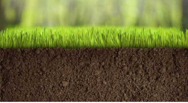 Украине дали срок. Продажа земли неизбежна