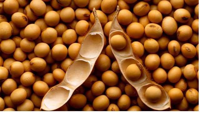 "Соєві війни" завершилися перемогою компромісного рішення, – журналіст