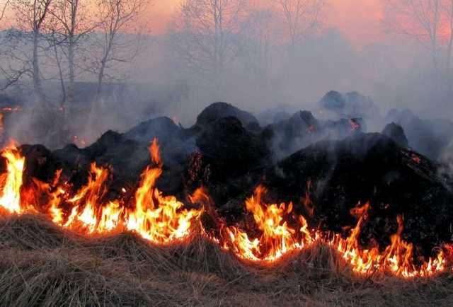 Спасатели объявили чрезвычайный уровень пожарной опасности в Украине