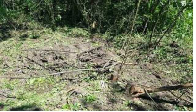 В сеть выложили фото с места убийства школьницы под Торецком