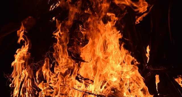 Лесной пожар в Херсонской области продолжается: к тушению привлекли авиацию