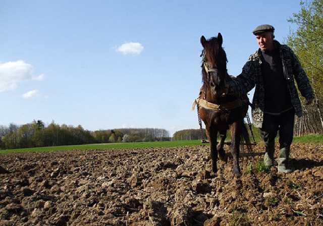 Фитосанитарная служба назвала области, где больше всего травят людей агрохимией