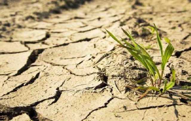 Крым готовят к чрезвычайному положению из-за засухи