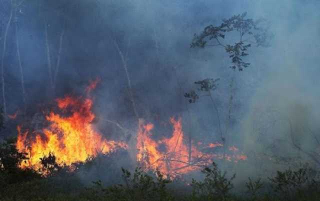 Подожгли? На месте пожара в Чернобыле найдены важные улики