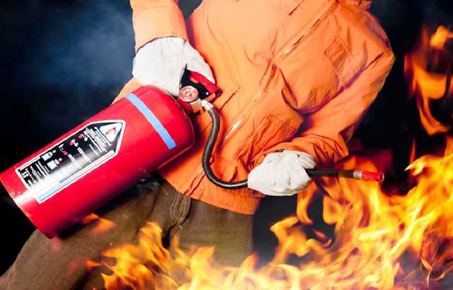 На этих выходных в Украине нельзя заезжать на авто в лес и охотиться