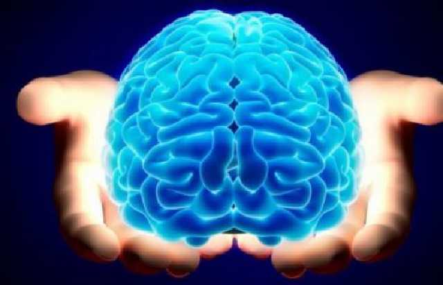 Кирилл Сыгыда: мозги — главная ценность Украины