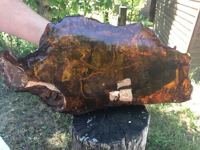 Нардеп Розенблат похвастался в соцсети огромным куском янтаря