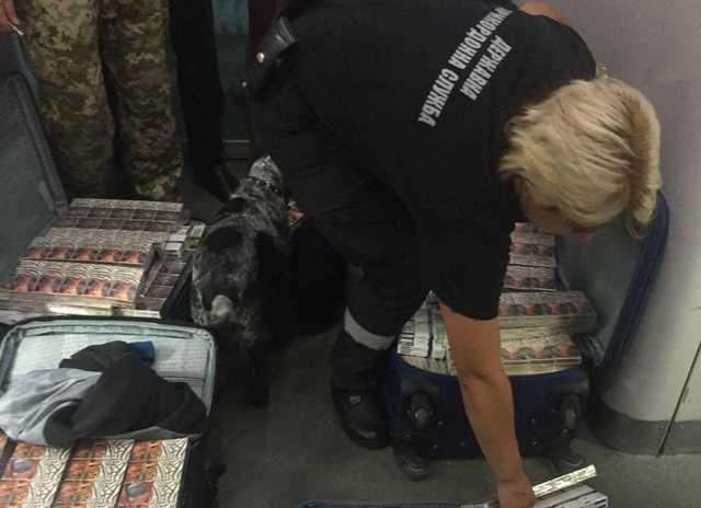 В потолке поезда, следовавшего в Польшу, нашли 8 чемоданов с сигаретами