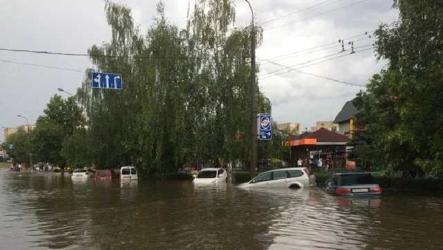 Улицы-реки и вырванные деревья: непогода наделала беды в Луцке