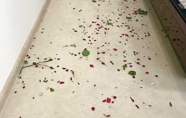 «Романтическое» ограбление: под Киевом парень украл $4 тыс, осыпав женщину лепестками роз