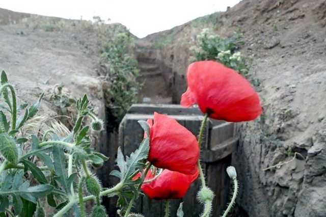 "Так с кем деды воевали?" Россиянам припомнили страшный момент в истории Украины