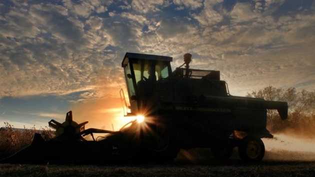 Сезонная работа в Украине: куда податься и где заработать