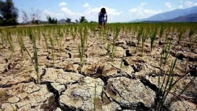 Засуха в Крыму: в сети показали, как полуостров превращается в пустыню