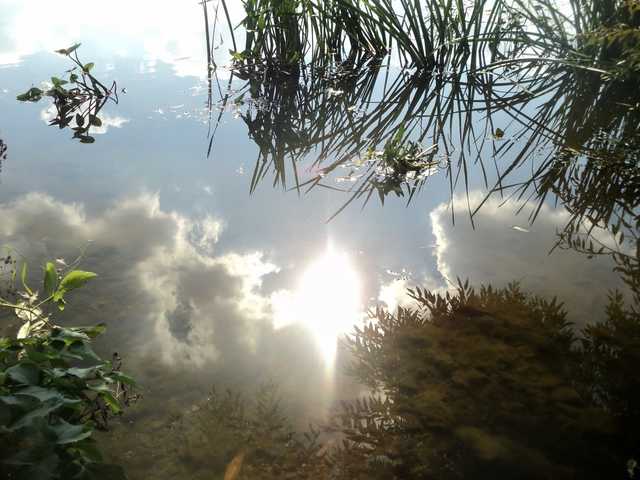 До +6: синоптики предупредили о новом похолодании в Украине