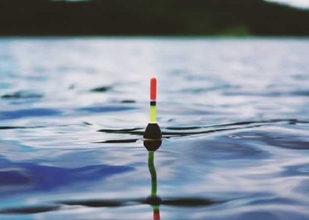 На Дніпропетровщині рибалка заплутався у сітці й потонув