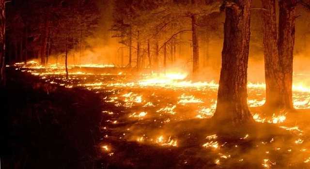 В Украине предупреждают о чрезвычайной пожарной опасности в июле