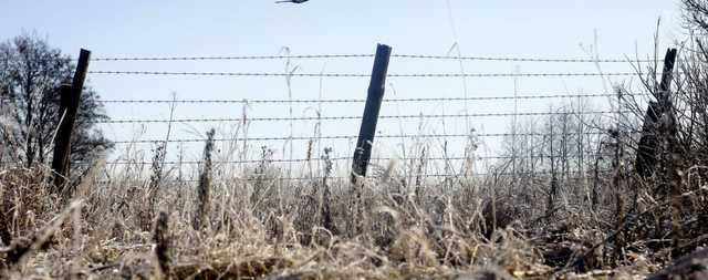 Порошенко подписал указ о возрождении Чернобыльской зоны отчуждения