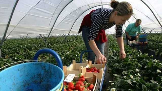 Куда едут заробитчане – топ популярных направлений и личный опыт