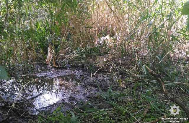 Перед смертью позвонила маме: появились детали жуткого убийства 13-летней школьницы