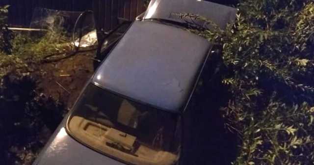 На Ивано-Франковщине произошло ДТП с участием автомобиля лейтенанта полиции: есть пострадавшие