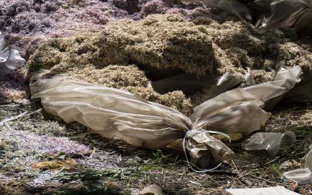 НБУ объяснил найденные мешки с уничтоженными гривнами