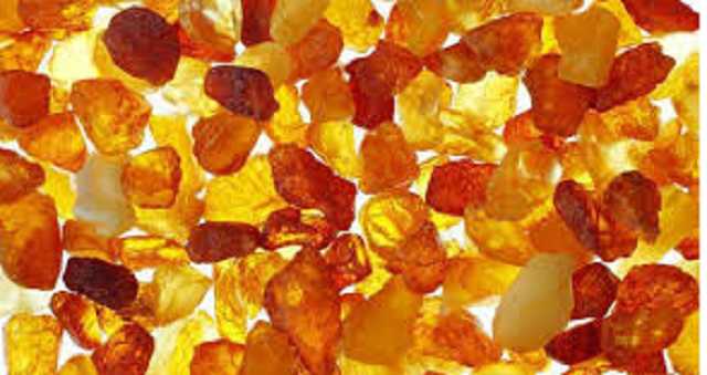 В Ровенской области 11 янтарных старателей получили "пидозры" о массовых беспорядках