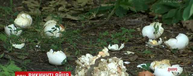 Жители Днепра задыхаются от вони выброшенных на окраине тысяч тухлых яиц