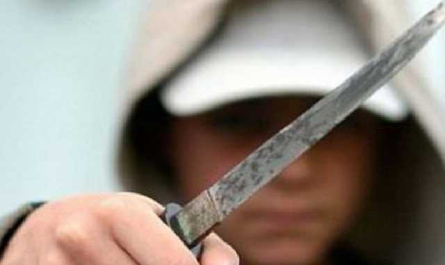 Шесть ударов ножом и перерезанное горло: убийцей женщины в Бердичеве оказался ребенок